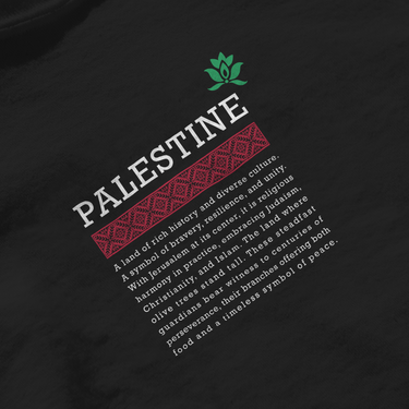 Футболка с определением Палестины